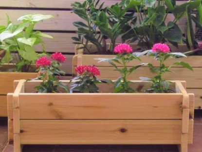 אדנית פרחים